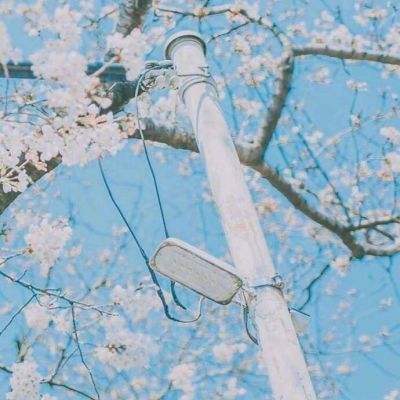 修仙青云剑bt版下载