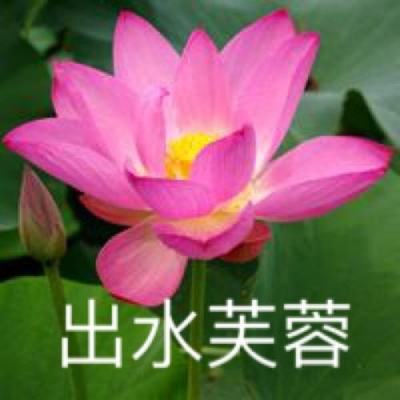 腾讯传奇霸业手机版下载